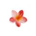 Hair Clip, HAWAII Small Red